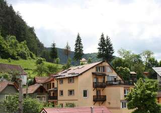 Гостевой дом Casa Cristina Брашов-1