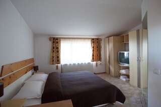 Гостевой дом Casa Cristina Брашов Улучшенный двухместный номер с 1 кроватью или 2 отдельными кроватями-2