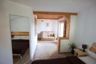 Гостевой дом Casa Cristina Брашов Улучшенный двухместный номер с 1 кроватью или 2 отдельными кроватями-3