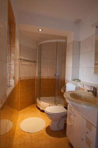 Гостевой дом Casa Cristina Брашов Улучшенный двухместный номер с 1 кроватью или 2 отдельными кроватями-14