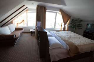 Гостевой дом Casa Cristina Брашов Улучшенный двухместный номер с 1 кроватью или 2 отдельными кроватями-16