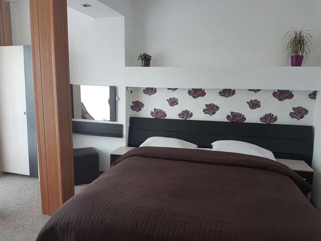 Гостевой дом Casa Cristina Брашов-16