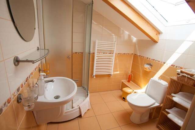 Гостевой дом Casa Cristina Брашов-33