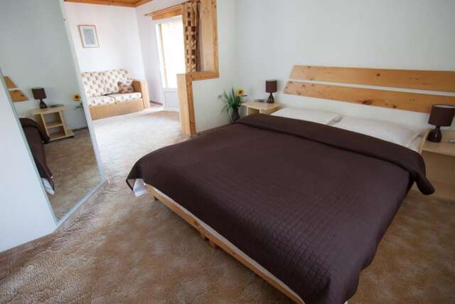 Гостевой дом Casa Cristina Брашов-44